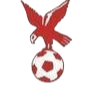 https://img.viralabout.com/img/football/team/4802d26df935b78bb2fcdbbff36e8864.png